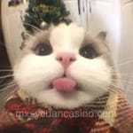 Avatar de Ismael Ceballos